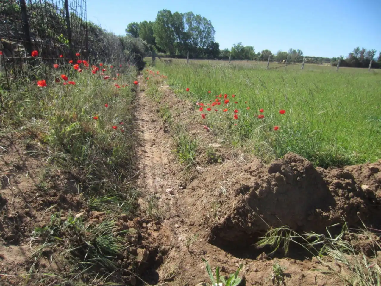 Terreno rustico in vendita a Calle RONDA DEL MEDIODIA, imagen 39