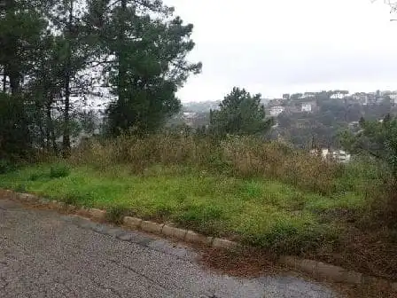Terreny rústic en venda a CL URB. LLORET RESIDENCIAL PARCELLA Nº 12, imagen 2