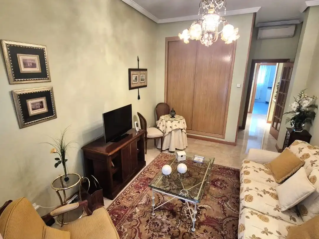 Living room of Flat for sale in Caño Argales 