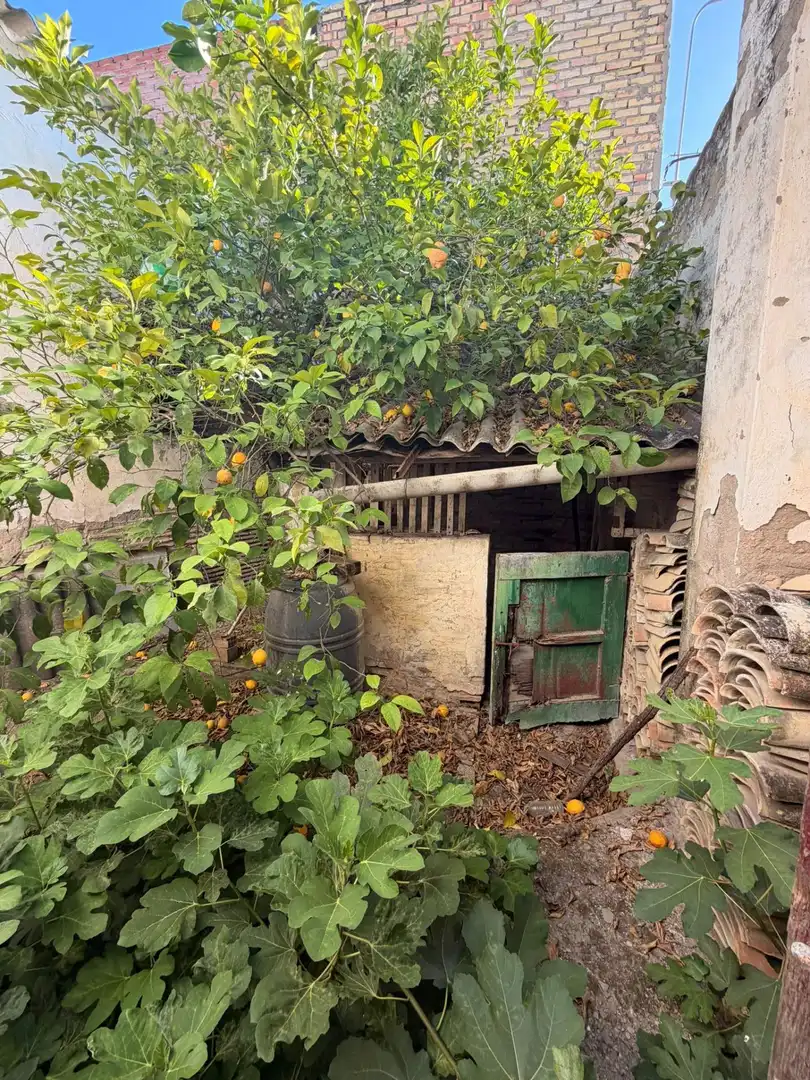 Vista exterior de Casa o chalet en venta en Arahal