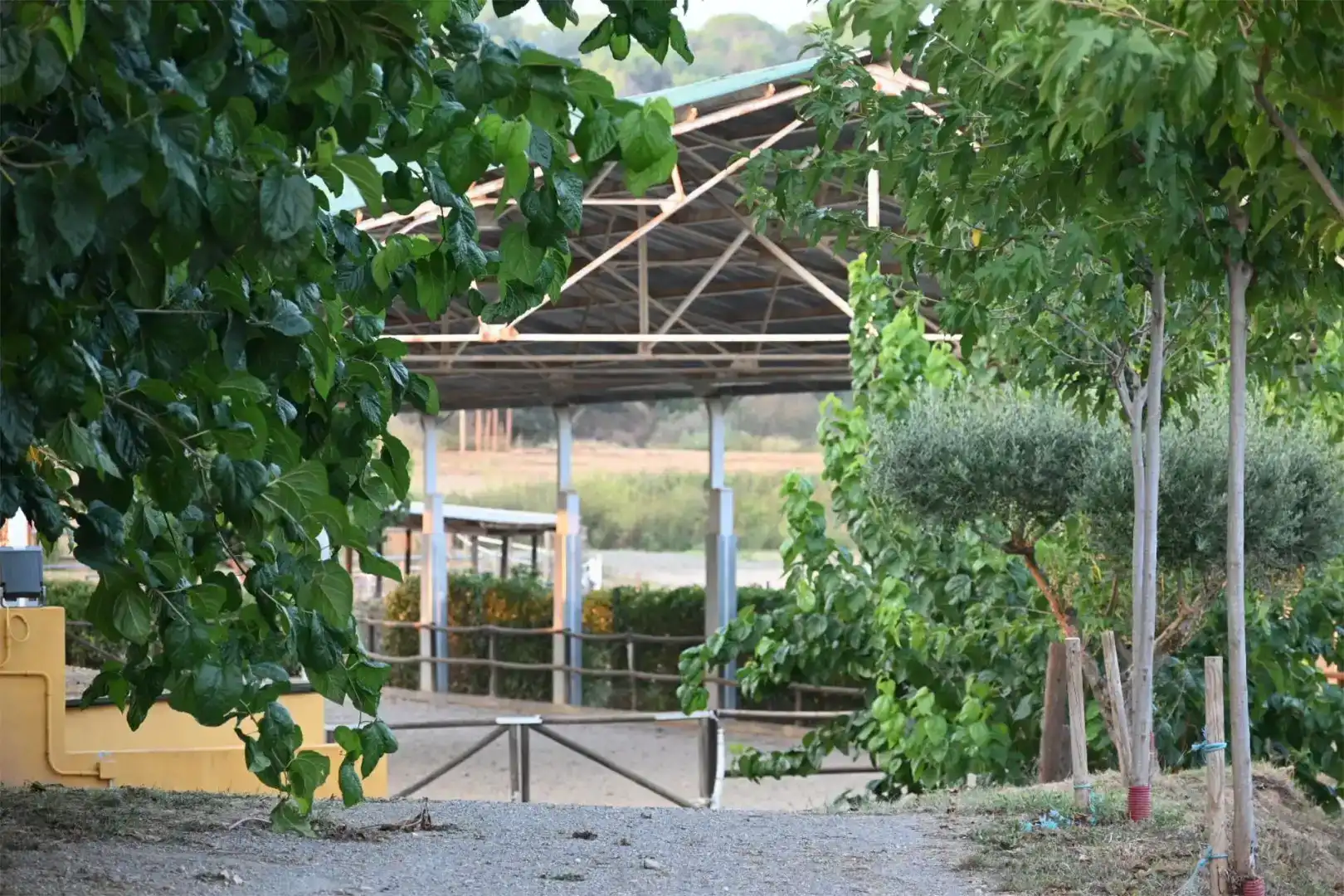 Finca rústica en venda en Piera amb Aire condicionat i Piscina