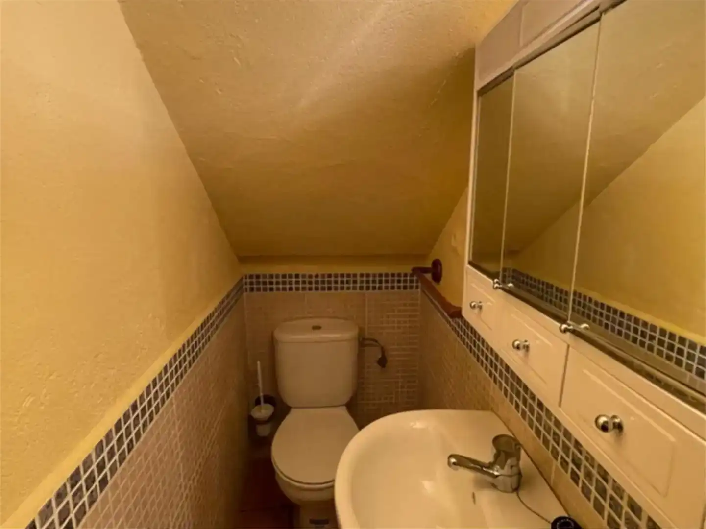 Baño de Finca rústica en venta en El Torno 