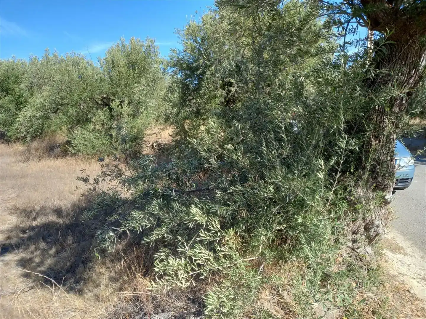 Terreno en venta en Las Tres Villas, Almería