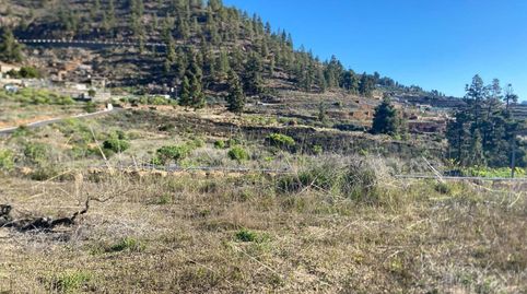 Foto 2 de Terreno en venta en Charco del Pino, Granadilla de Abona