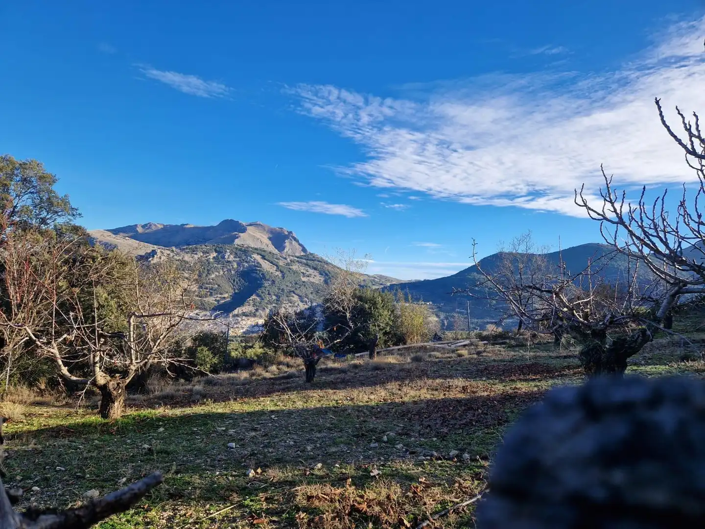 Vista exterior de Finca rústica en venta en Torres con Jardín privado