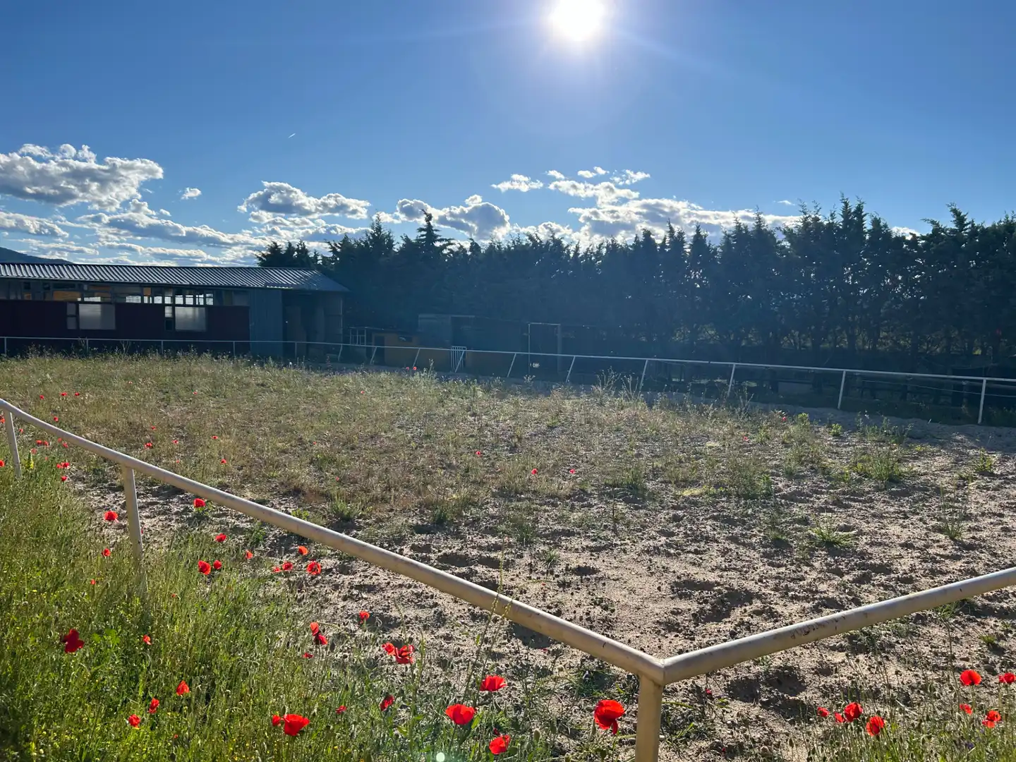 Finca rústica en venta en Navas del Rey con Calefacción, Jardín privado y Terraza