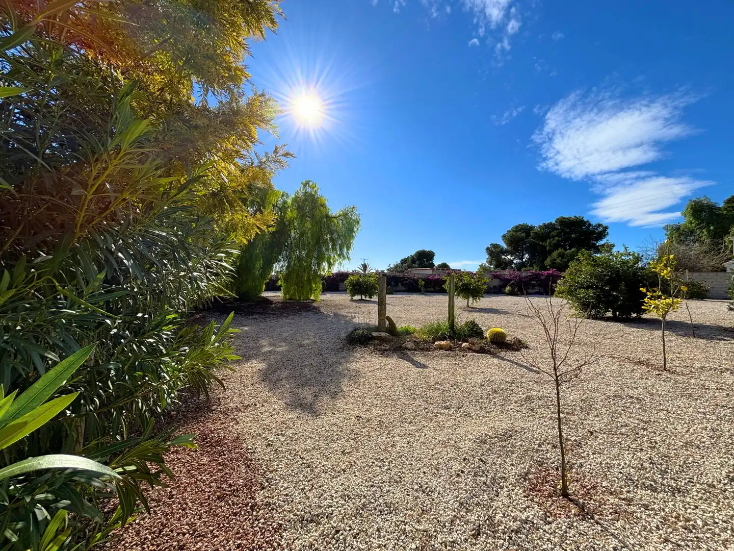 Jardín de Casa o chalet en venta en Alicante / Alacant con Aire acondicionado, Jardín privado y Trastero