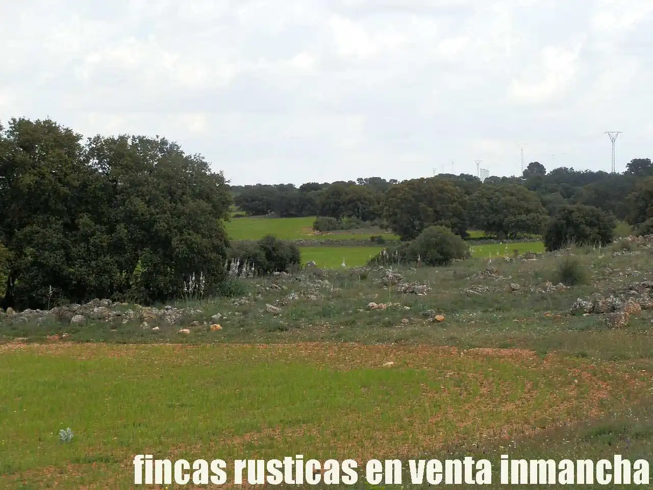 Terreno rustico in vendita a Ruidera, imagen 7