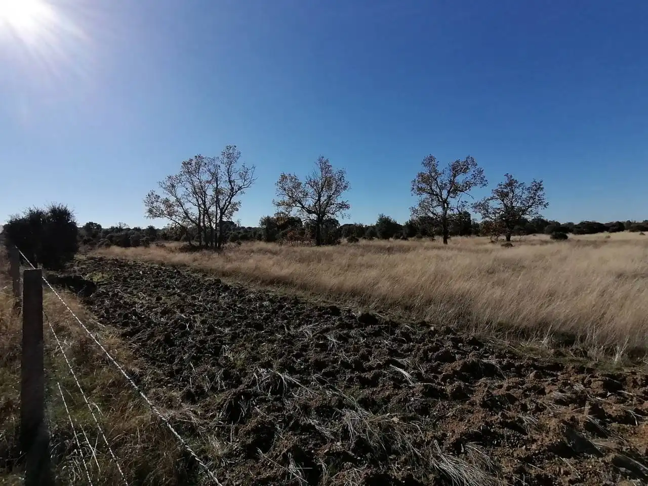 Terreny rústic en venda a Serradilla del Arroyo, imagen 13