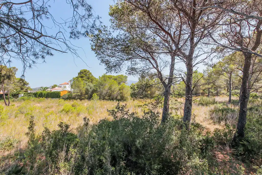 Terreno en venta en L'Ametlla de Mar 