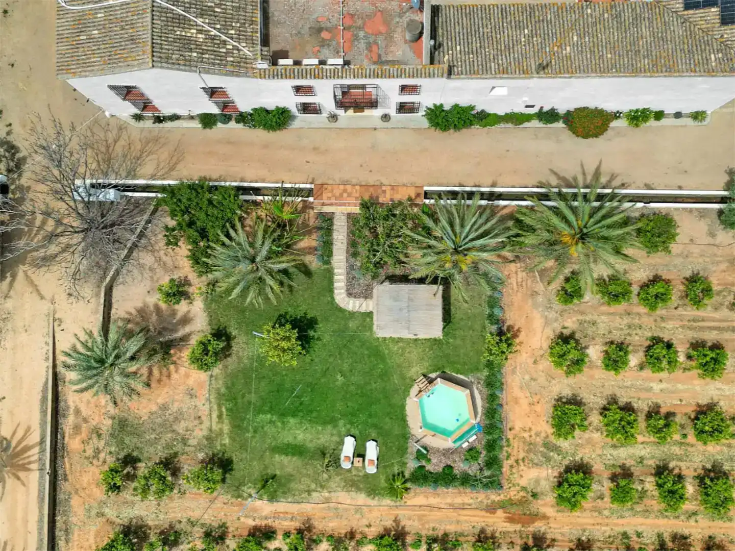 Jardín de Finca rústica de alquiler en Algemesí con Aire acondicionado, Jardín privado y Piscina