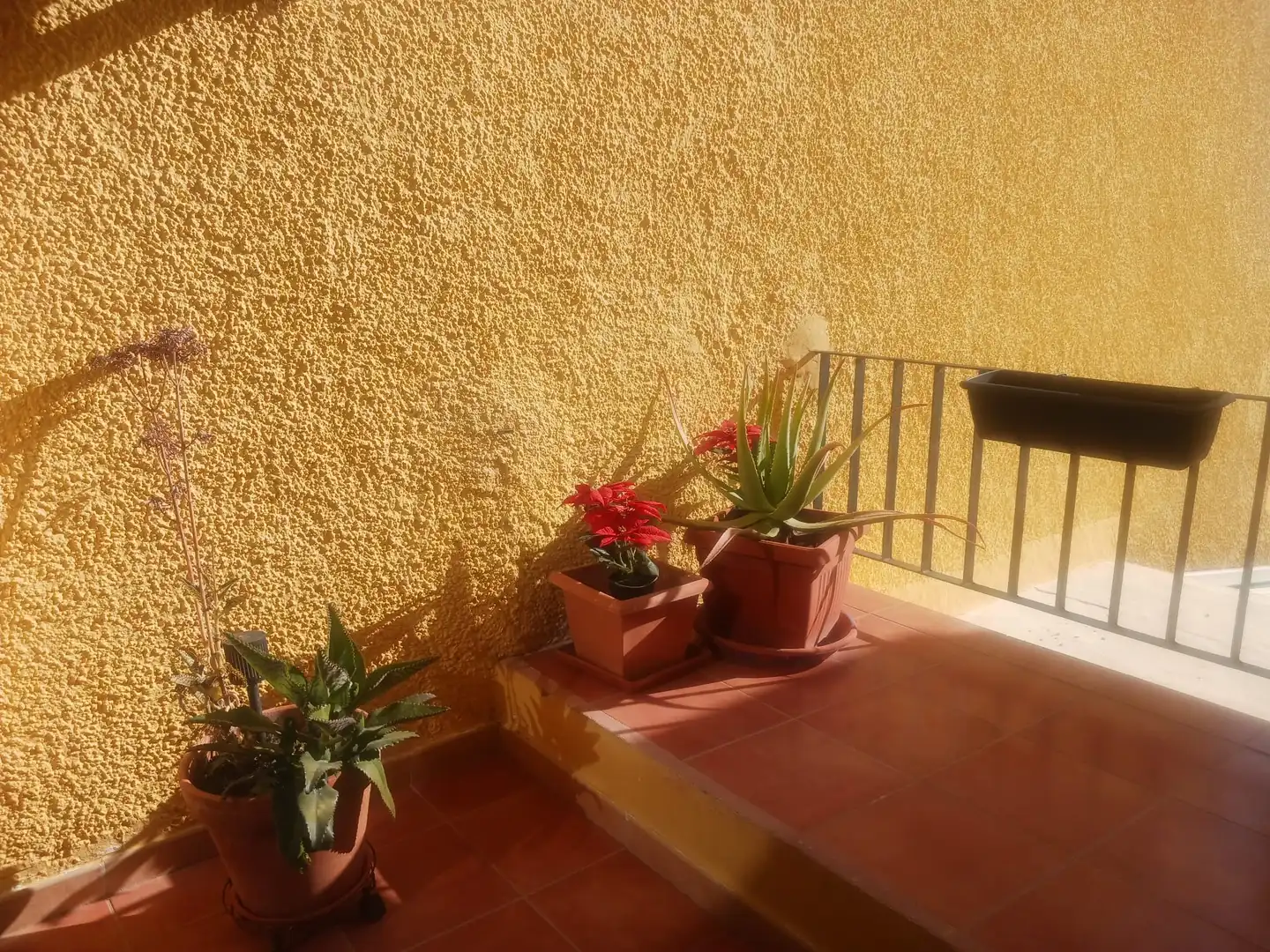 Apartament amb piscina en venda a Alfonso Ferrer 3, imagen 4