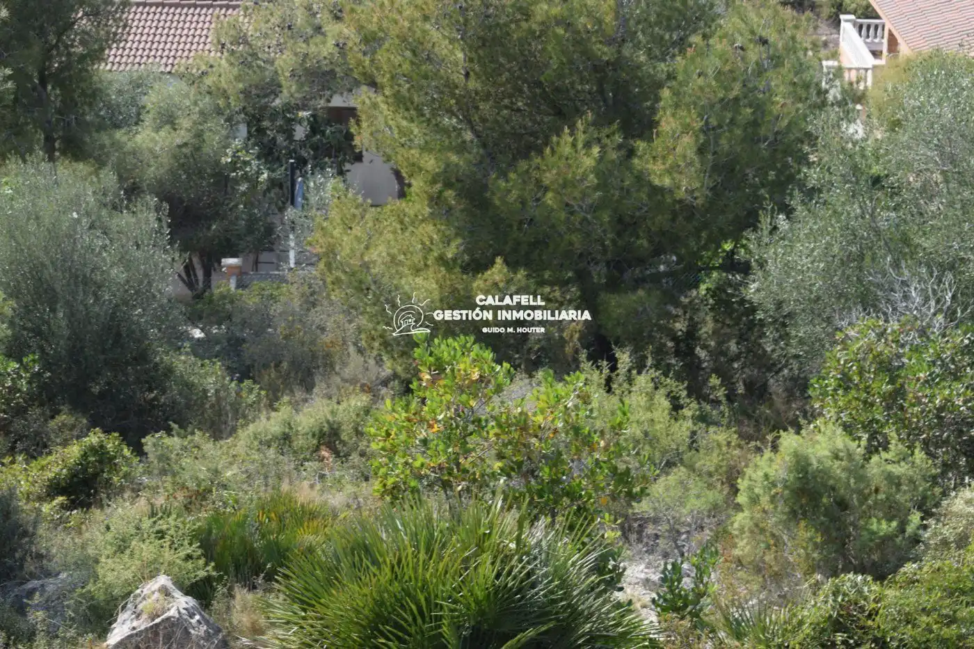 Terrain rustique à vendre à SANTA MARIA DE MONTSERRAT 117, imagen 11