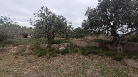 Photo 5 of Residential for sale in Llevant, Tarragona