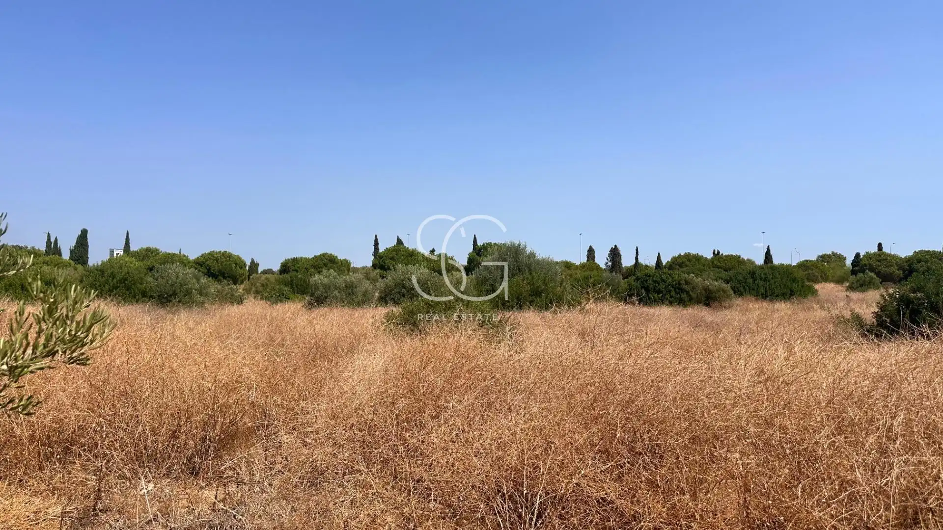 Residential land for sale in Nou Eixample Nord, imagen 14