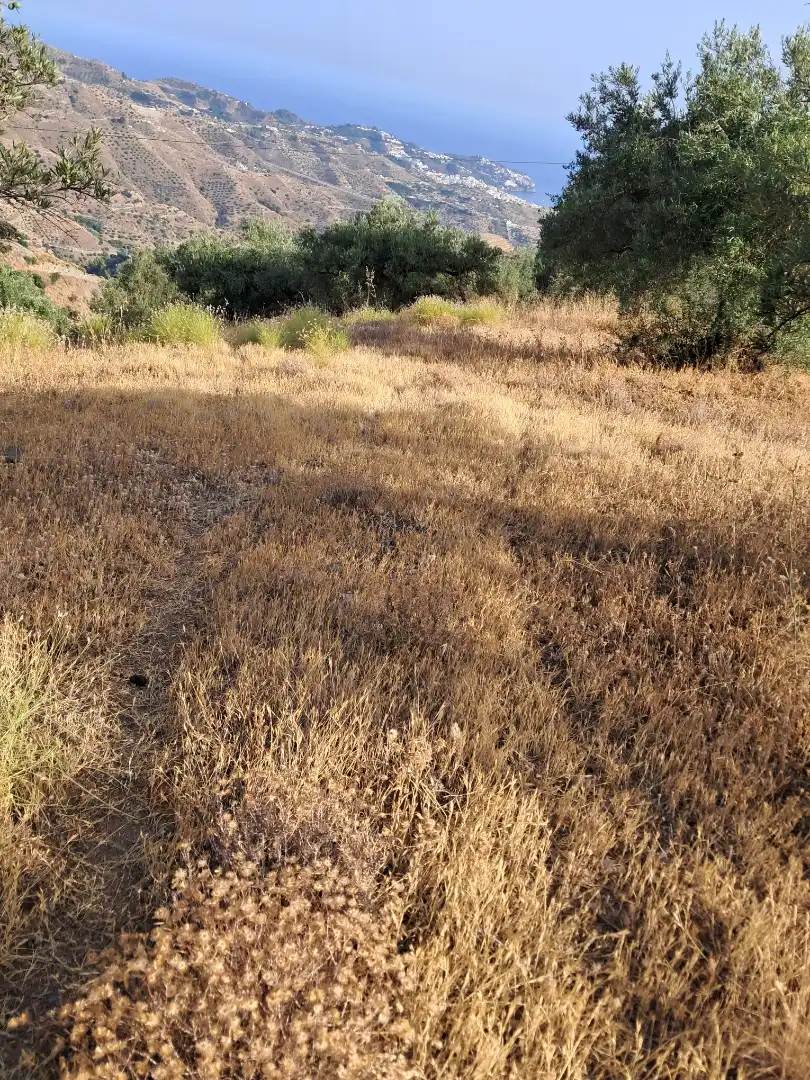 Terreno en venta en Almuñécar
