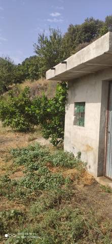 Finca rústica en Venta en Motril  ciudad