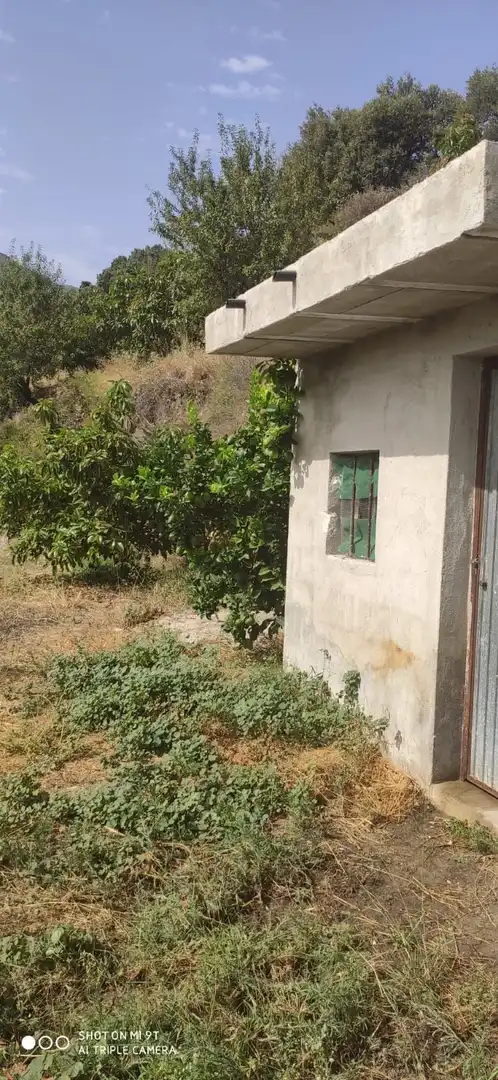 Finca rústica en venta en Motril con Jardín privado