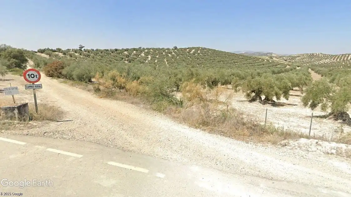 Terreny rústic en venda a Aguilar de la Frontera