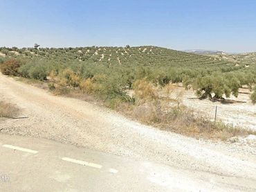 Rural land for sale in Aguilar de la Frontera