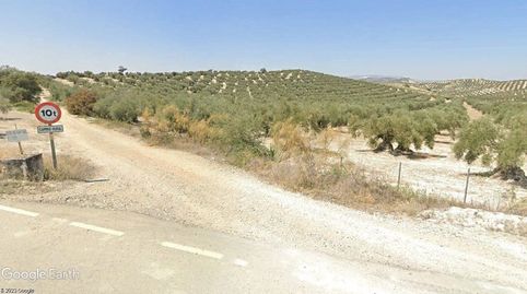 FINCA DE OLIVOS, OPCIÓN DE SONDEO Y VIVIENDA.