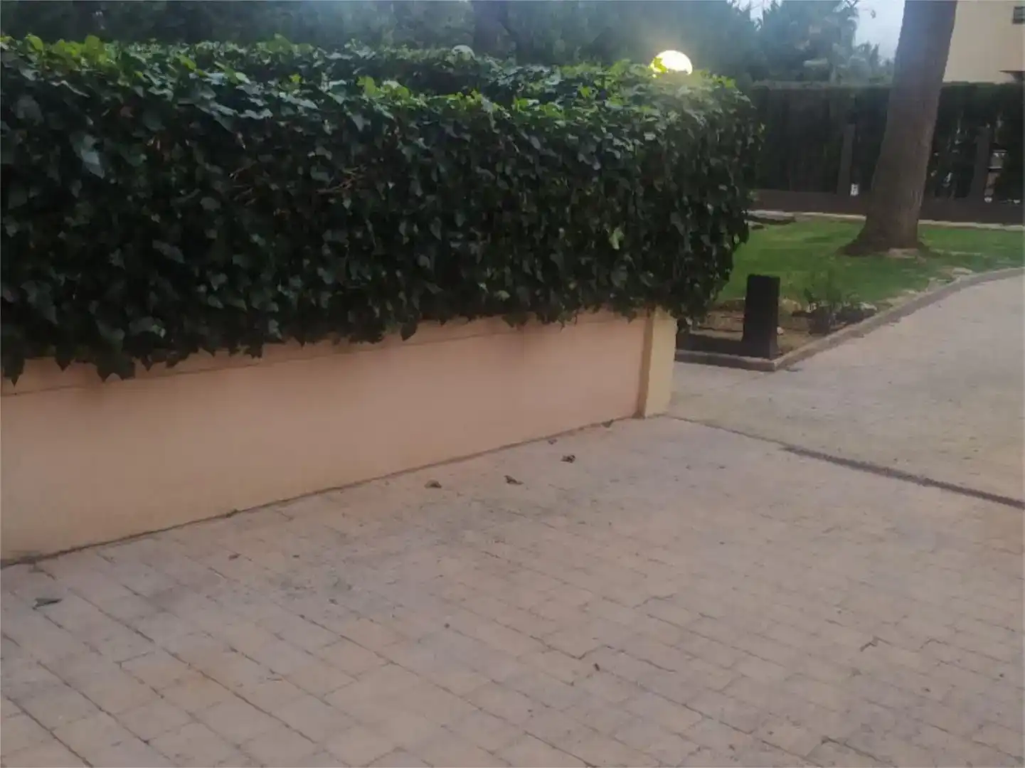 Jardín de Planta baja en venta en  Palma de Mallorca con Aire acondicionado, Terraza y Piscina