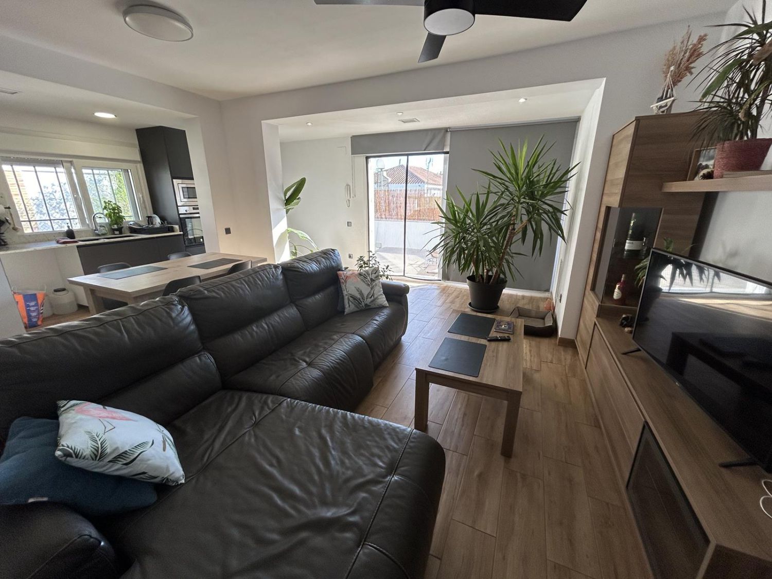 Sala d'estar de Casa o xalet en venda en Alcanar amb Terrassa