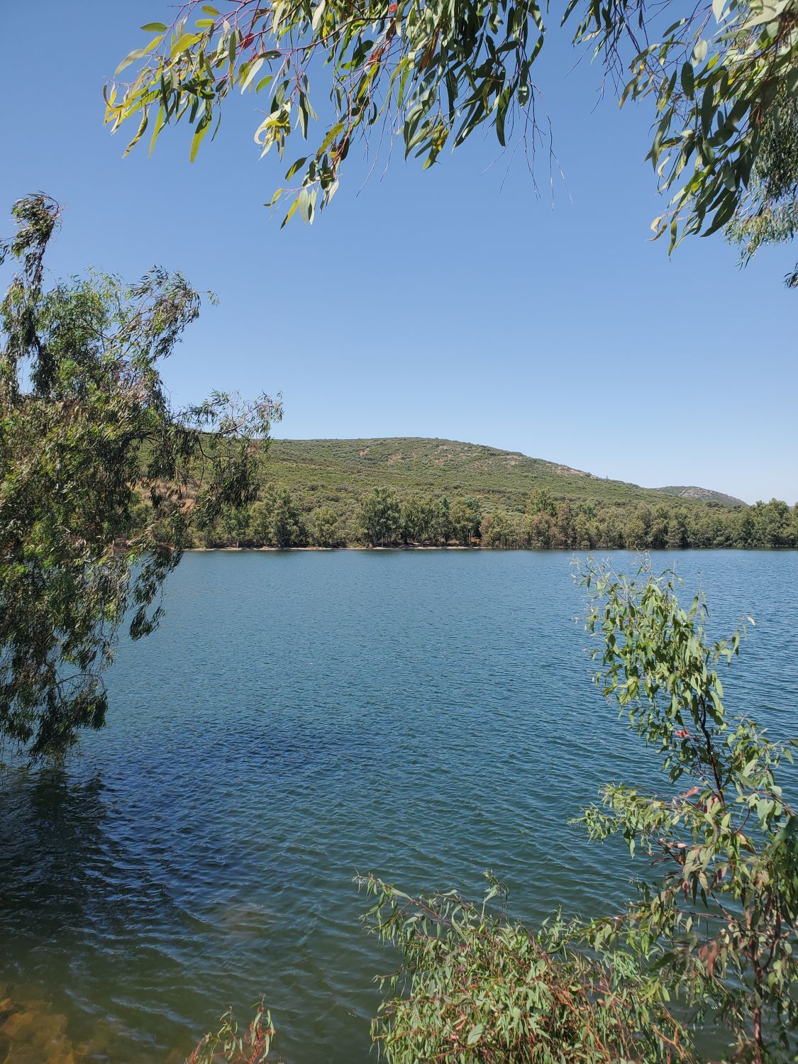 Finca rústica en venta en Ciudad Real Capital