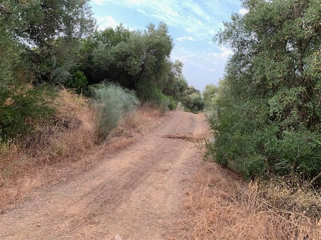 Land for sale in Alcolea del Río