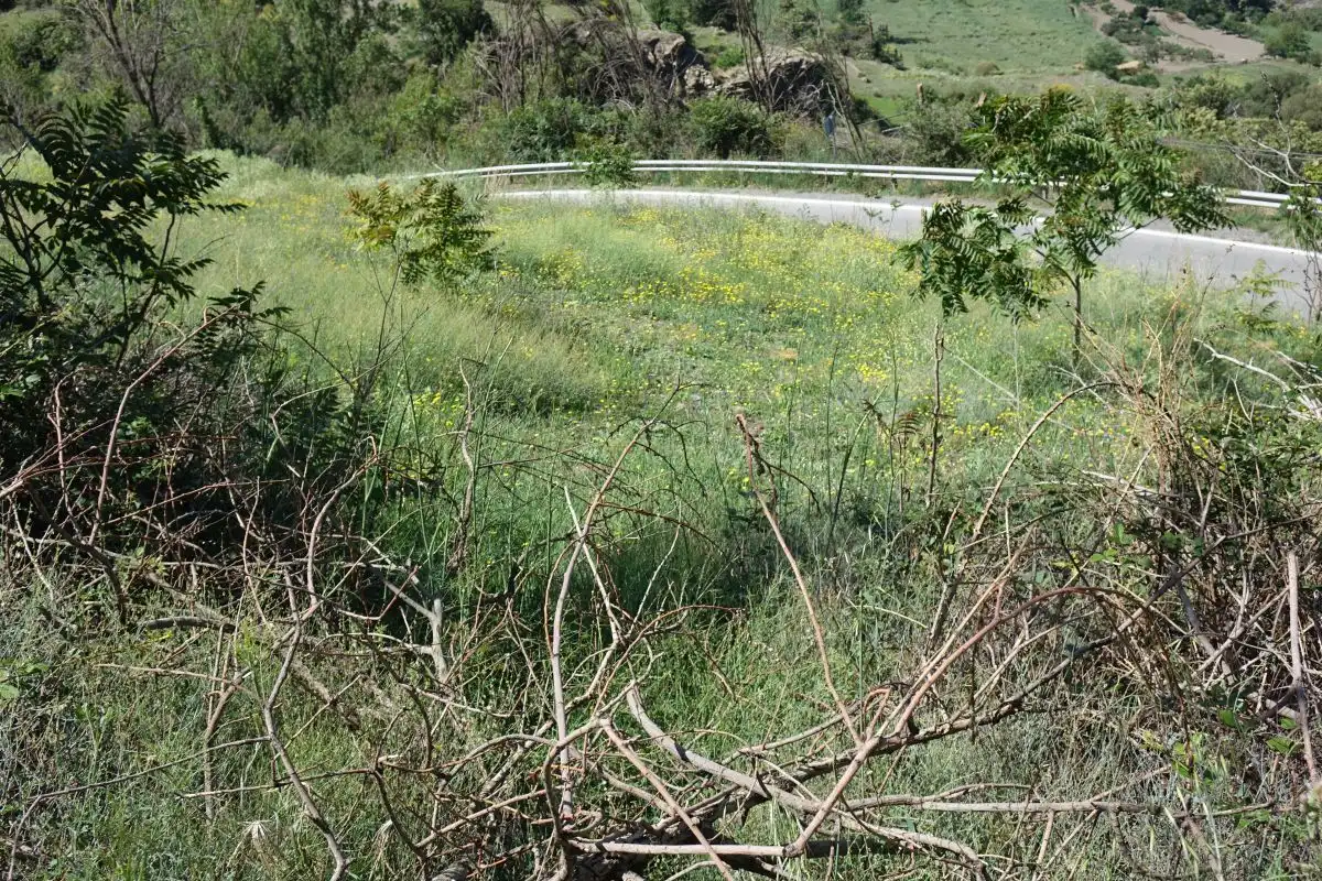 Finca rústica en venta en Capileira