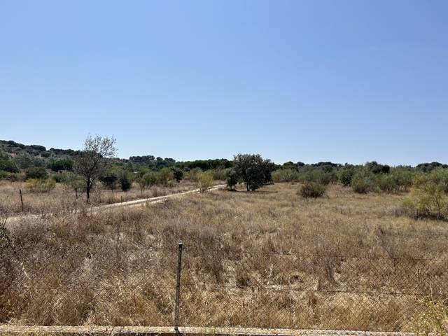 Terreno en Venta en Navas del Rey
