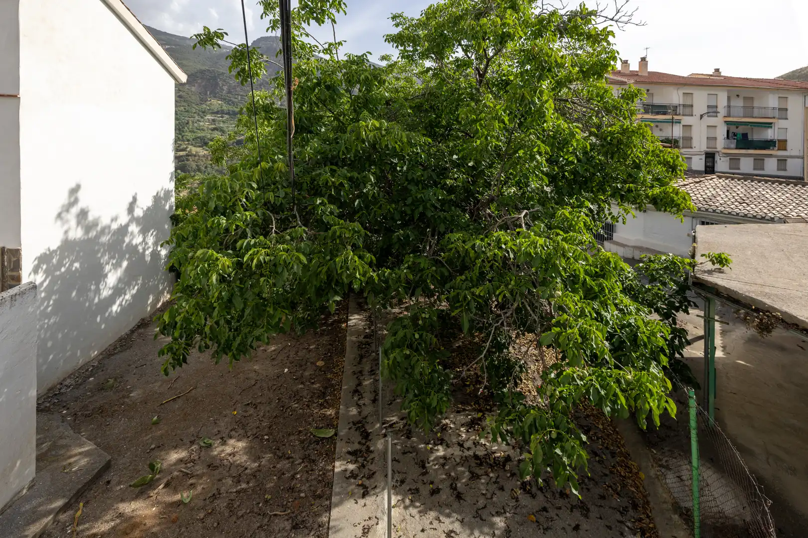 Vista exterior de Casa o xalet en venda en Güéjar Sierra amb Jardí privat i Moblat