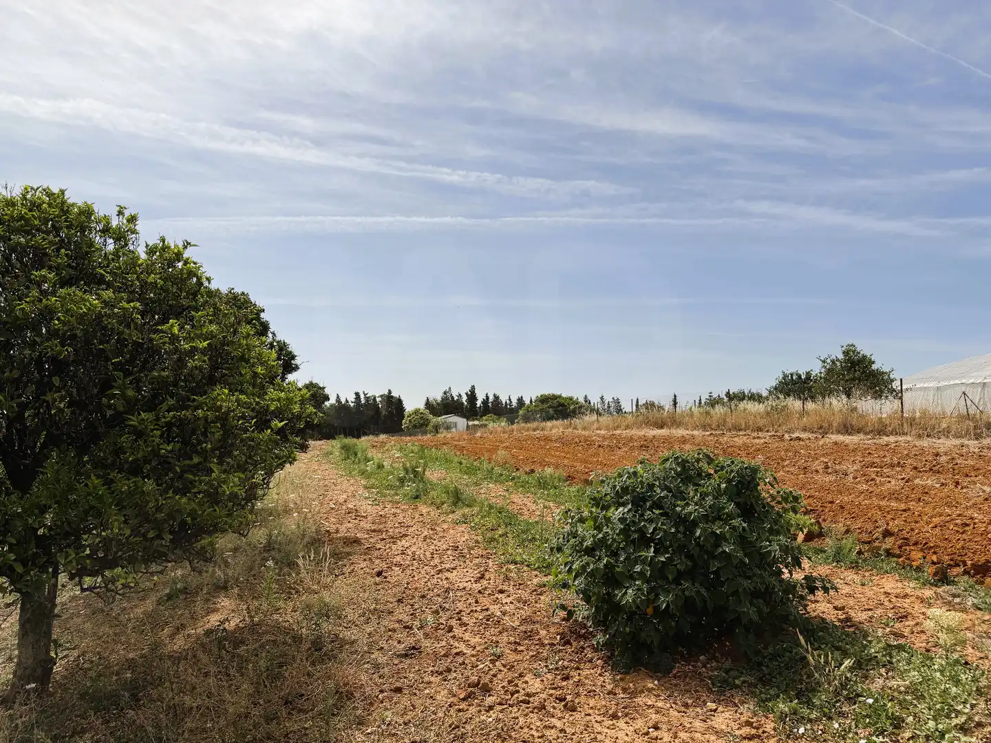 Terreni e lotti in vendita a DS PAGO MELILLA 657 Suelo Polígono 16 Parcela 657, imagen 4