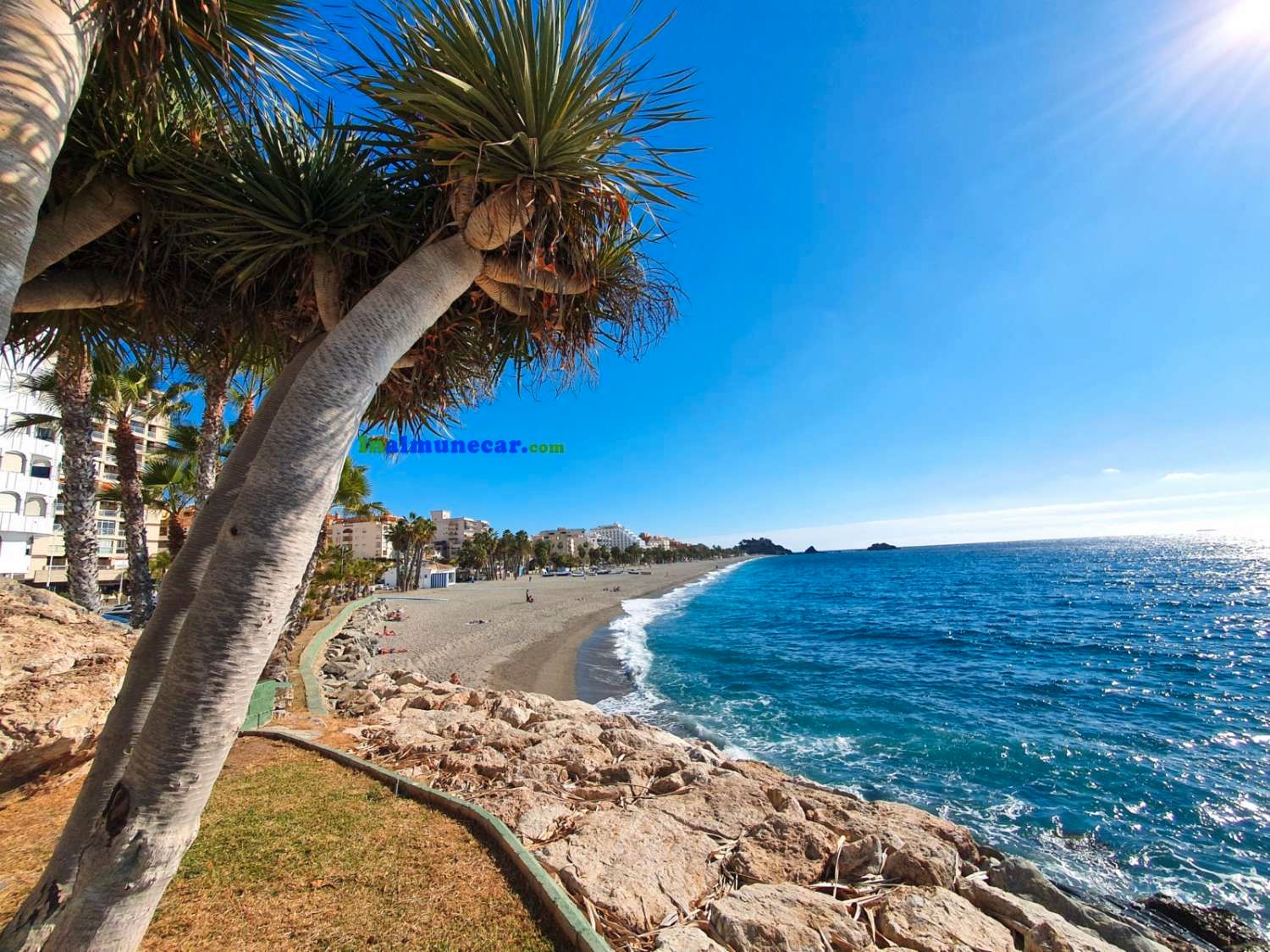 Vista exterior de Piso en venta en Almuñécar con Terraza