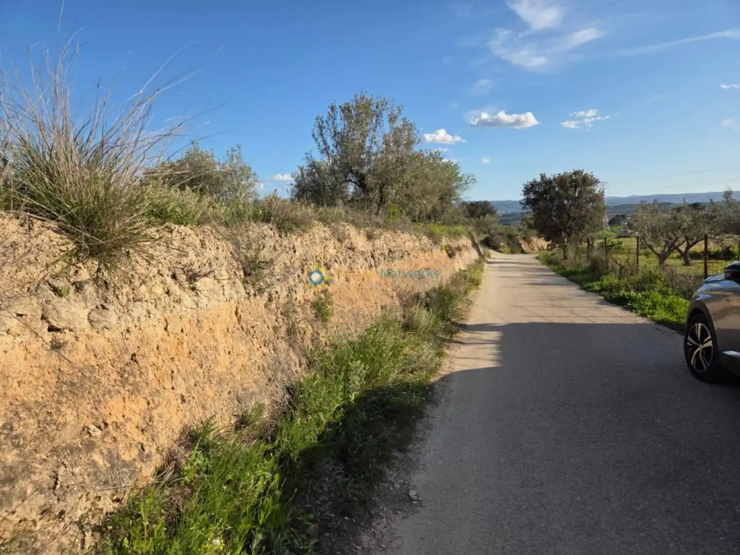 Terreno rustico in vendita a L'Olleria, imagen 15