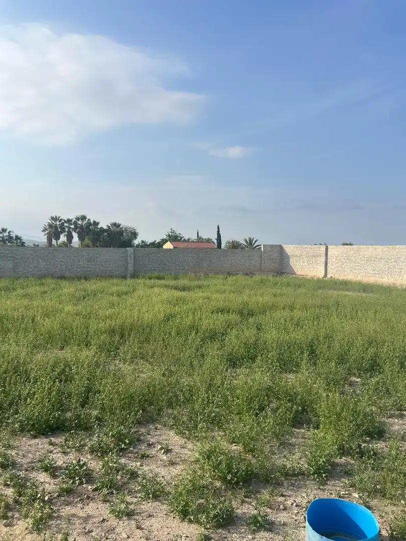 Terreno industrial en venta en  Murcia Capital