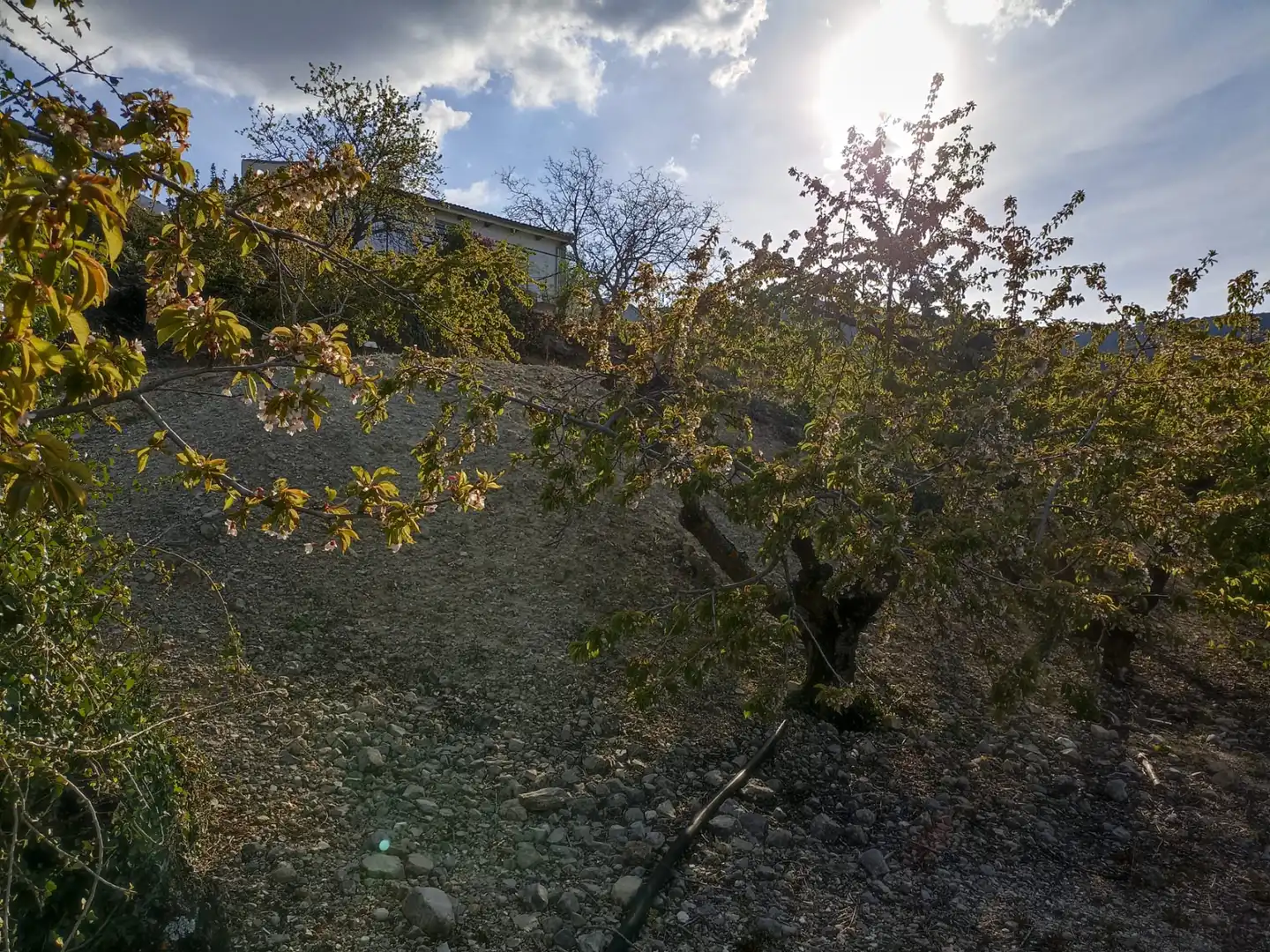 Land for sale in Torres