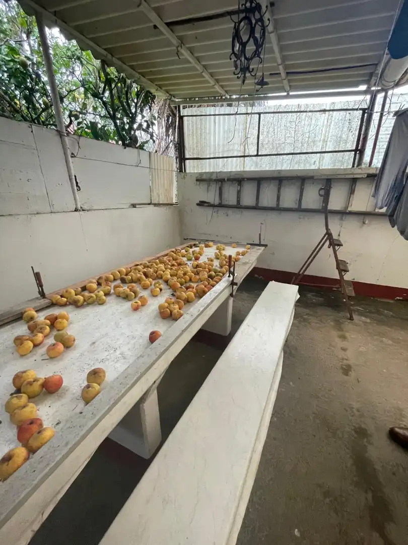 Casa o xalet en venda en Valdoviño