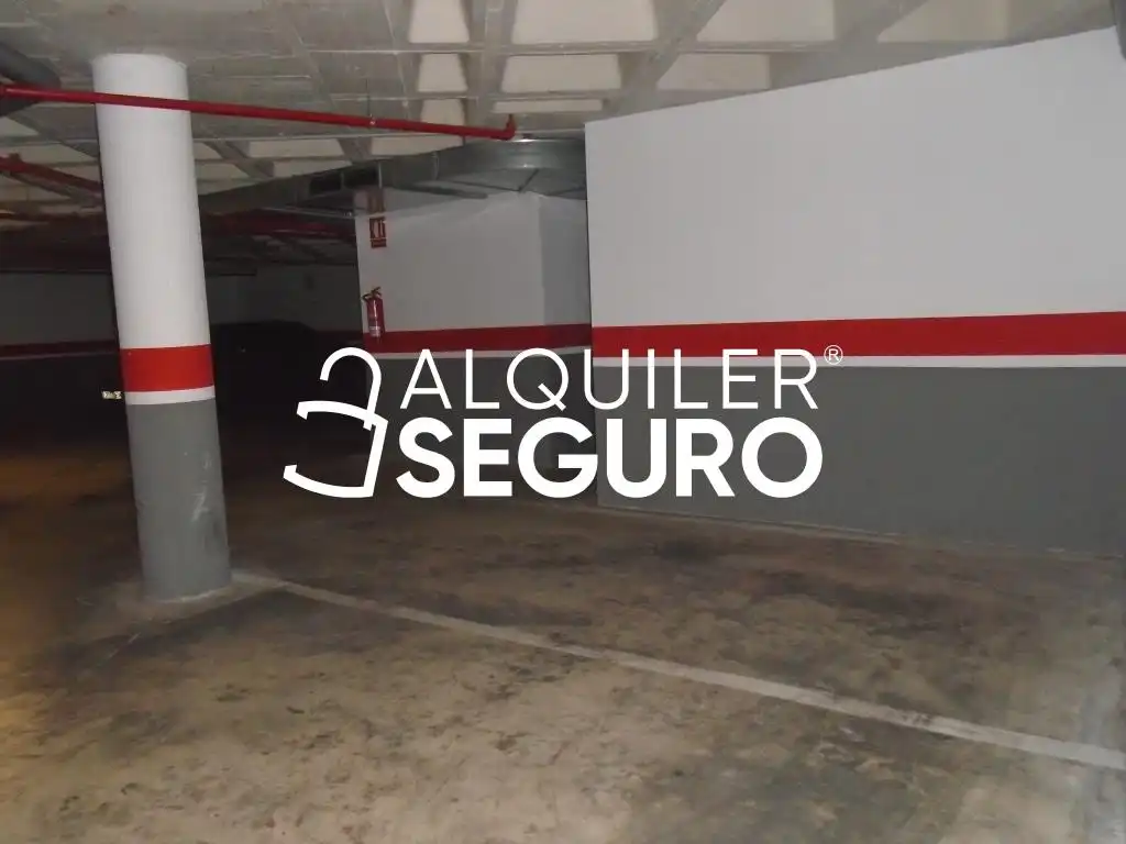 Piso con piscina en alquiler en El Pilar, imagen 25