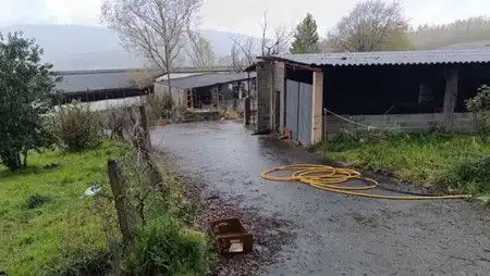 Vista exterior de Finca rústica en venda en Celanova amb Jardí privat