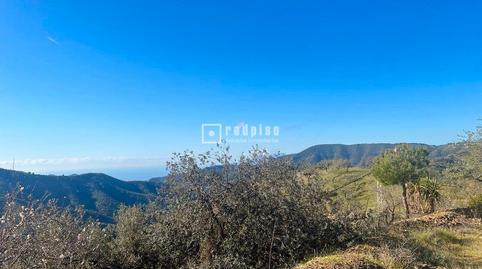 Photo 5 of Industrial land for sale in Lagar Brun Bajo, Olías, Málaga