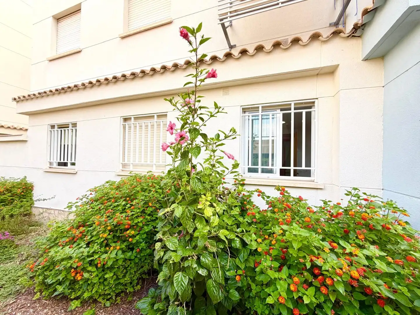 Appartement avec piscine à vendre à Daimús