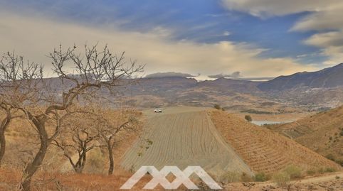 Venta Parcelas agrícolas, Málaga, Andalucía, immagine 3