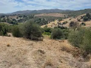 Land for sale in Monda