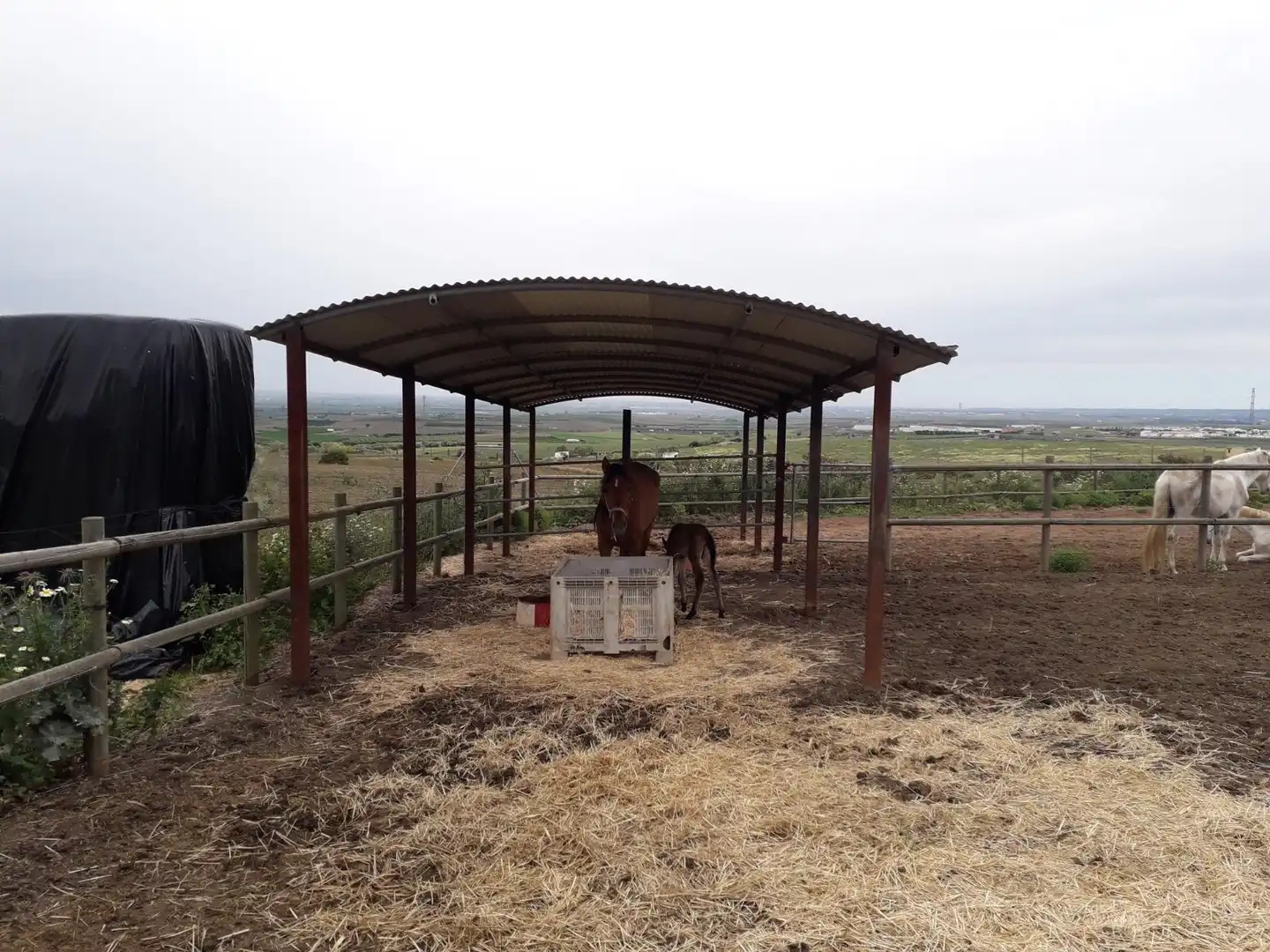 Terreno en venta en Polígono Industrial Estanquillo, Burguillos