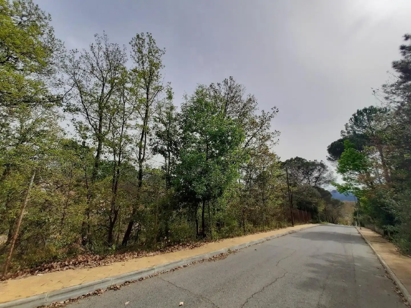 Chalet con jardín en venta en Riells i Viabrea, imagen 9