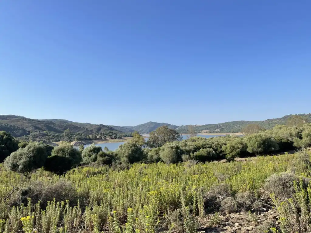 Country homes for sale in Castellar de la Frontera  with Private garden