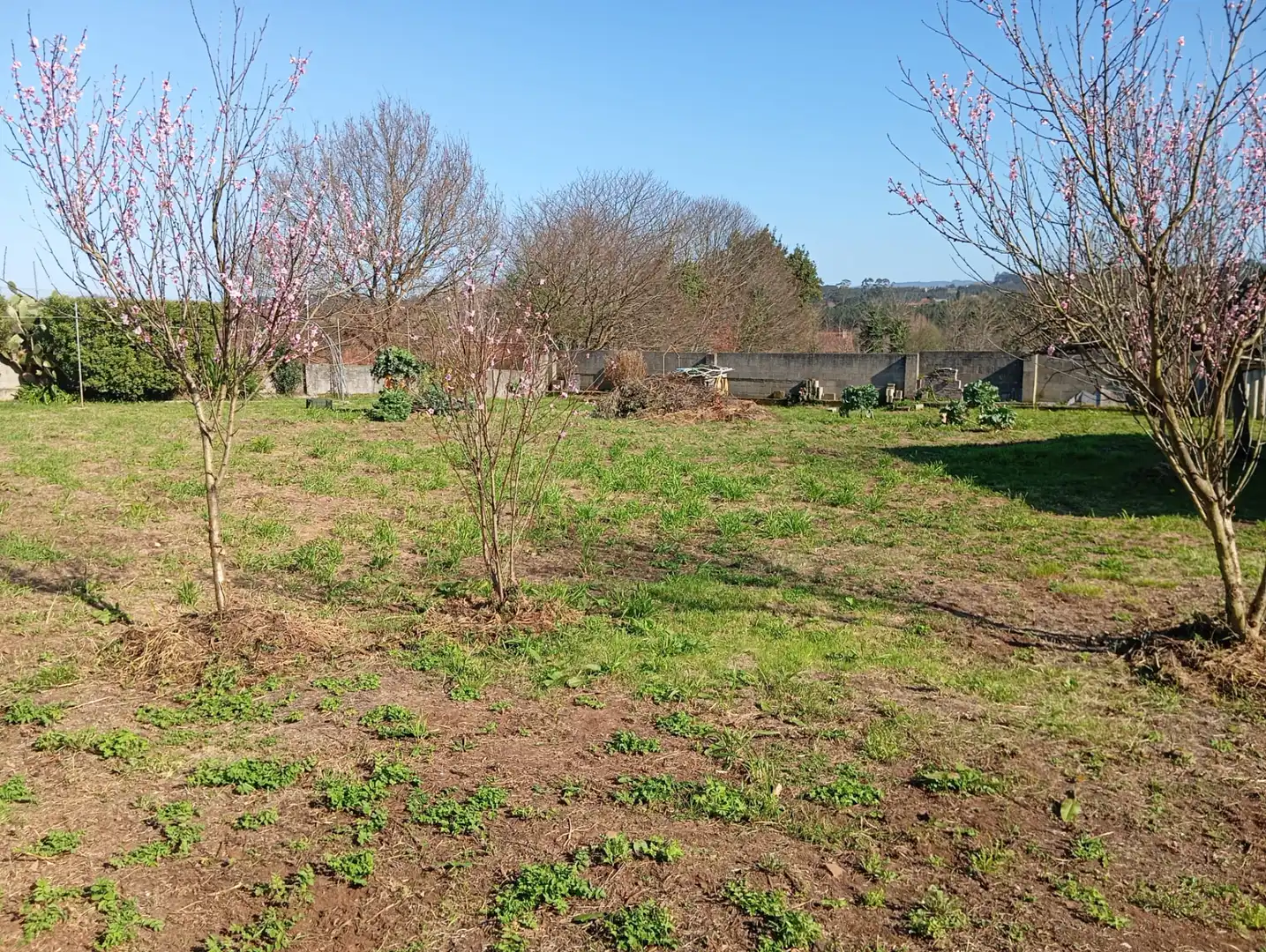 Casa o xalet en venda en Carballo amb Calefacció, Jardí privat i Moblat