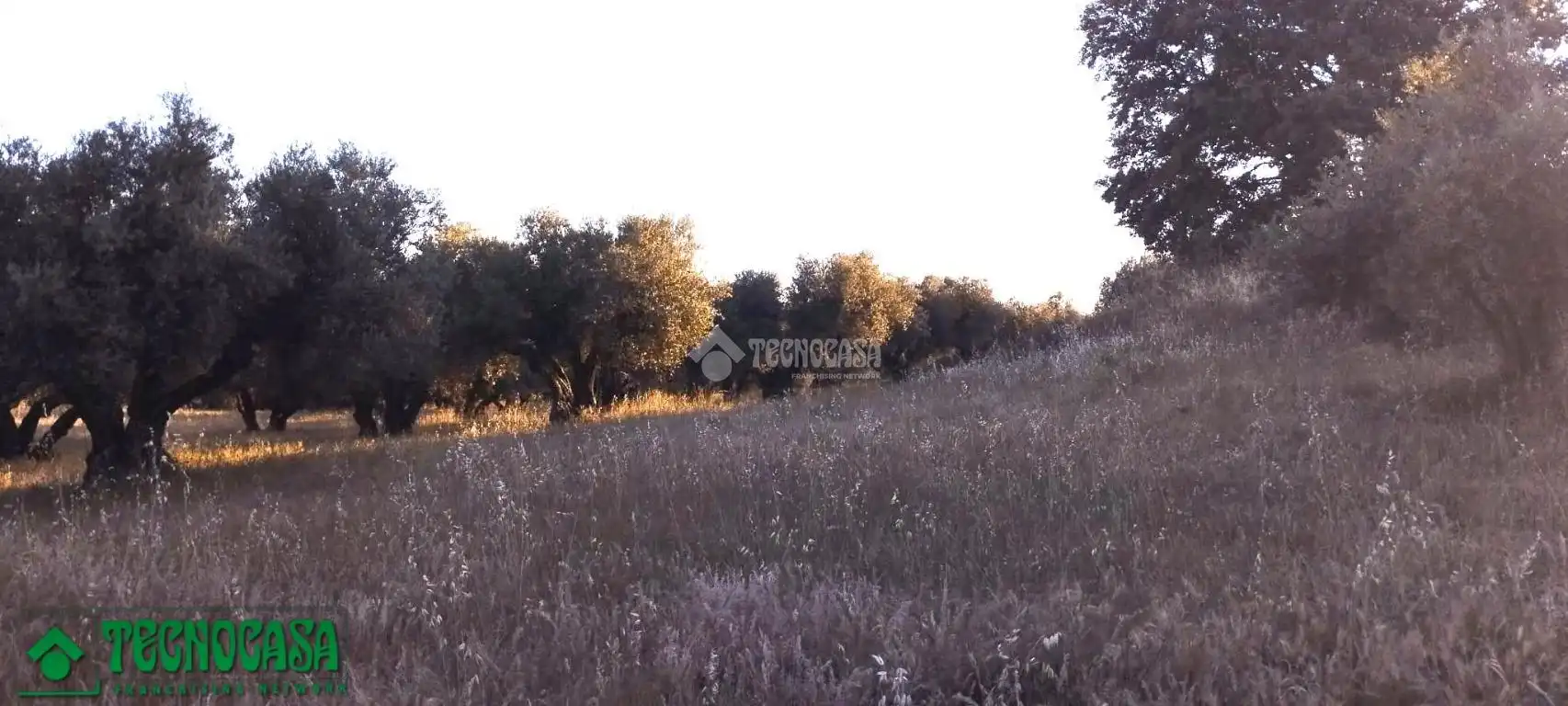 Terreni e lotti in vendita a Méntrida, imagen 13