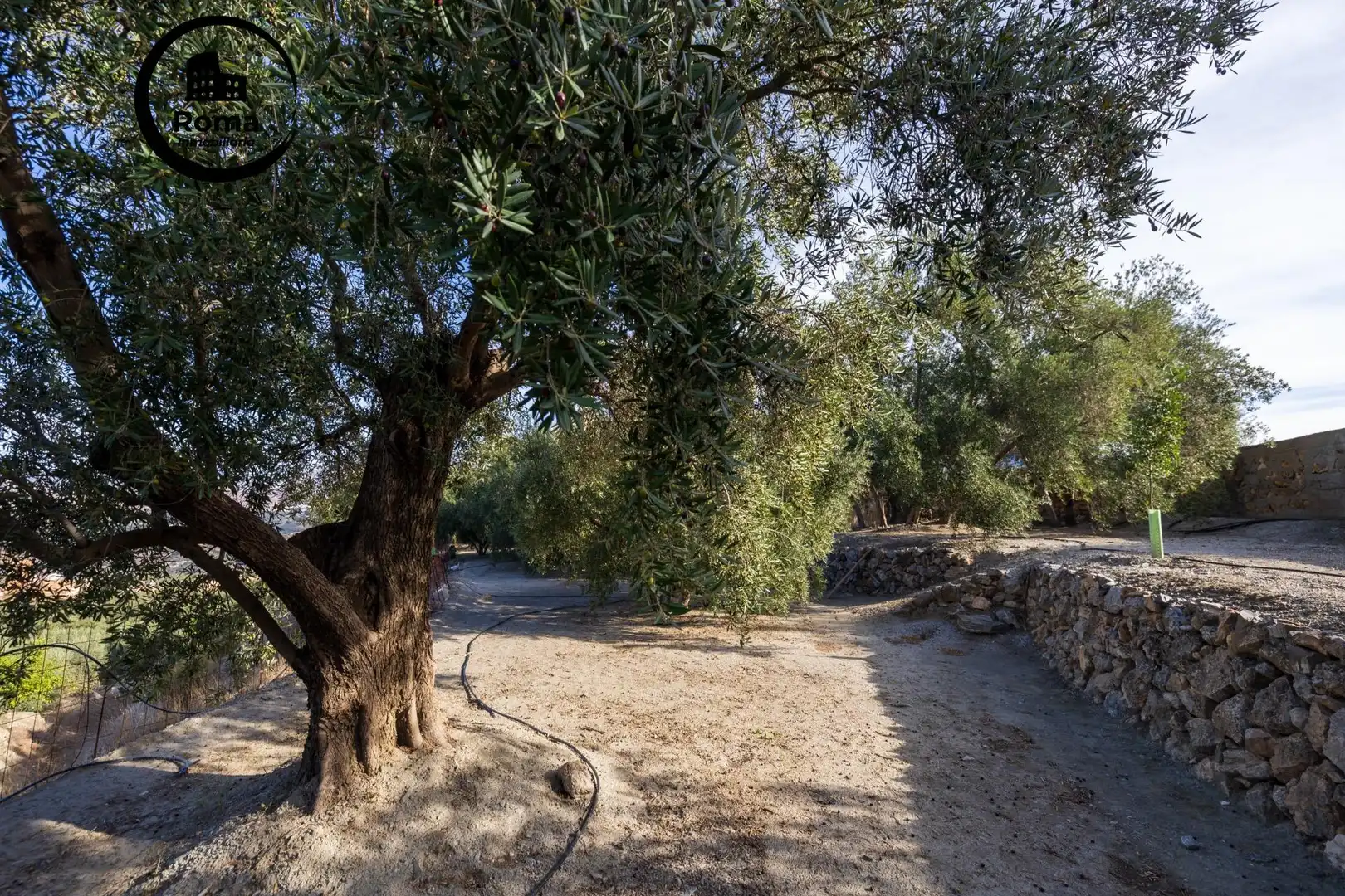 Terreni e lotti in vendita a El Pinar, imagen 22